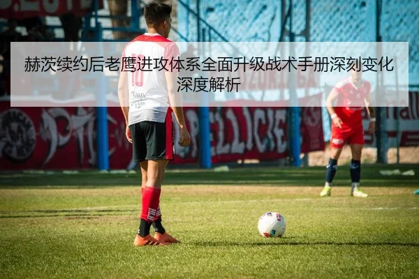 赫茨续约后老鹰进攻体系全面升级战术手册深刻变化深度解析