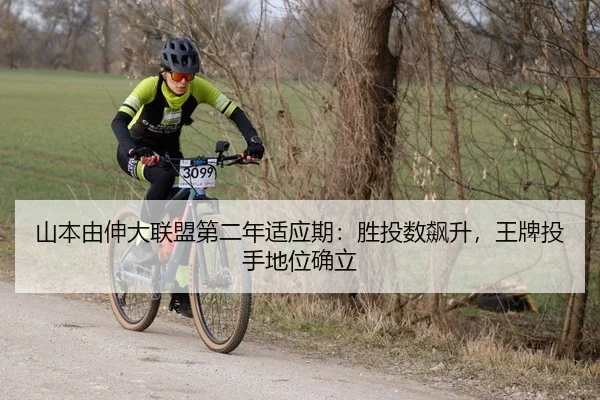 shan-ben-you-shen-da-lian-meng-di-er-nian-shi-ying-qi-sheng-tou-shu-biao-sheng-wang-pai-tou-shou-di-wei-que-li-2-263.jpg